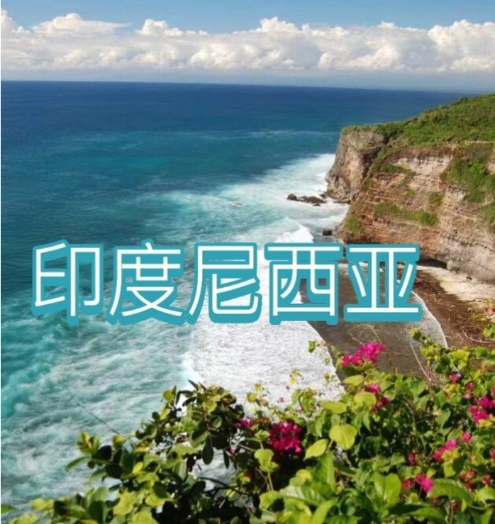 国际电商(印尼)产业博览会不朽情缘首页2025中国