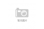 业现状洞察与发展趋势展望不朽情缘旅游野营